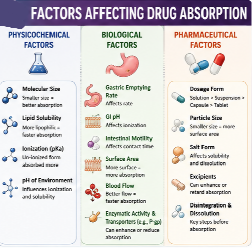 Factors affecting Drug Absorption 