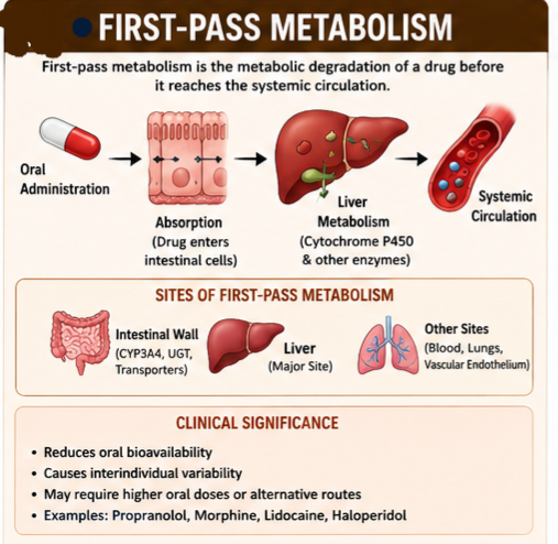 First Pass Metabolism