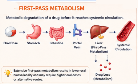 Fast Passed Metabolism 
