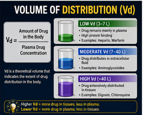 Volume of Distribution 