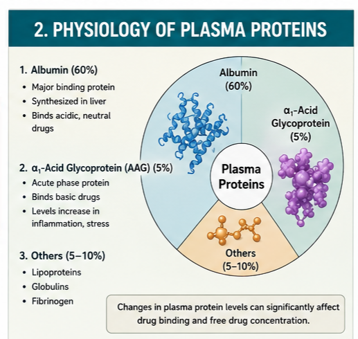 Physiology of Plasma Proteins