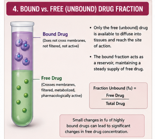 Bound vs. Free Drug Fraction