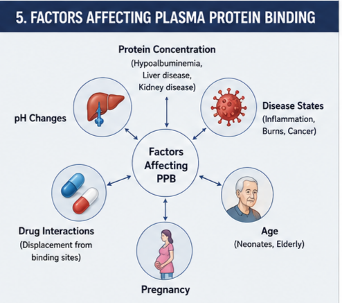 Factors Affecting Plasma Protein Binding