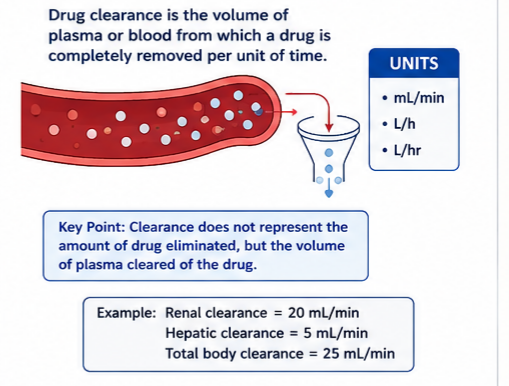 What Is Drug Clearance