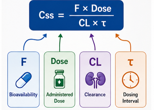 Steady-State Concentration The Pharmacokinetic Basis: Input Must Equal Output