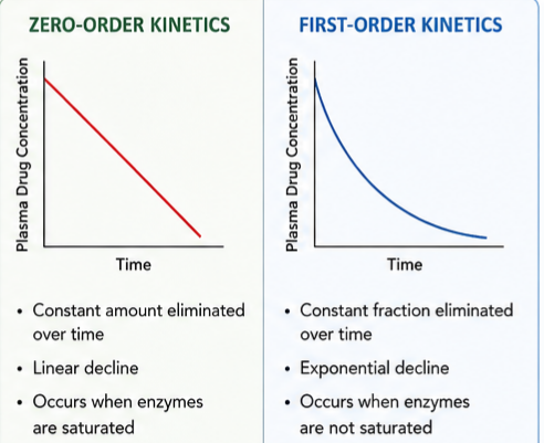 First-Order and Zero-Order Processes