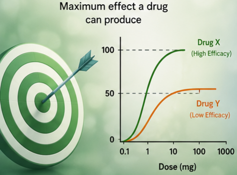 Potency vs Efficacy
