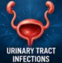 Co Amoxiclave for Urinary Tract Infection