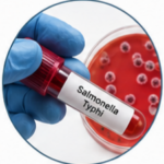 Cefotaxime Sodium Injection