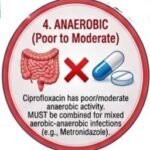 Ciprofloxacin Uses and Side Effects
