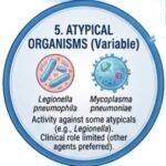 Ciprofloxacin Uses and Side Effects