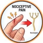 What Is Pain