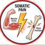 What Is Pain