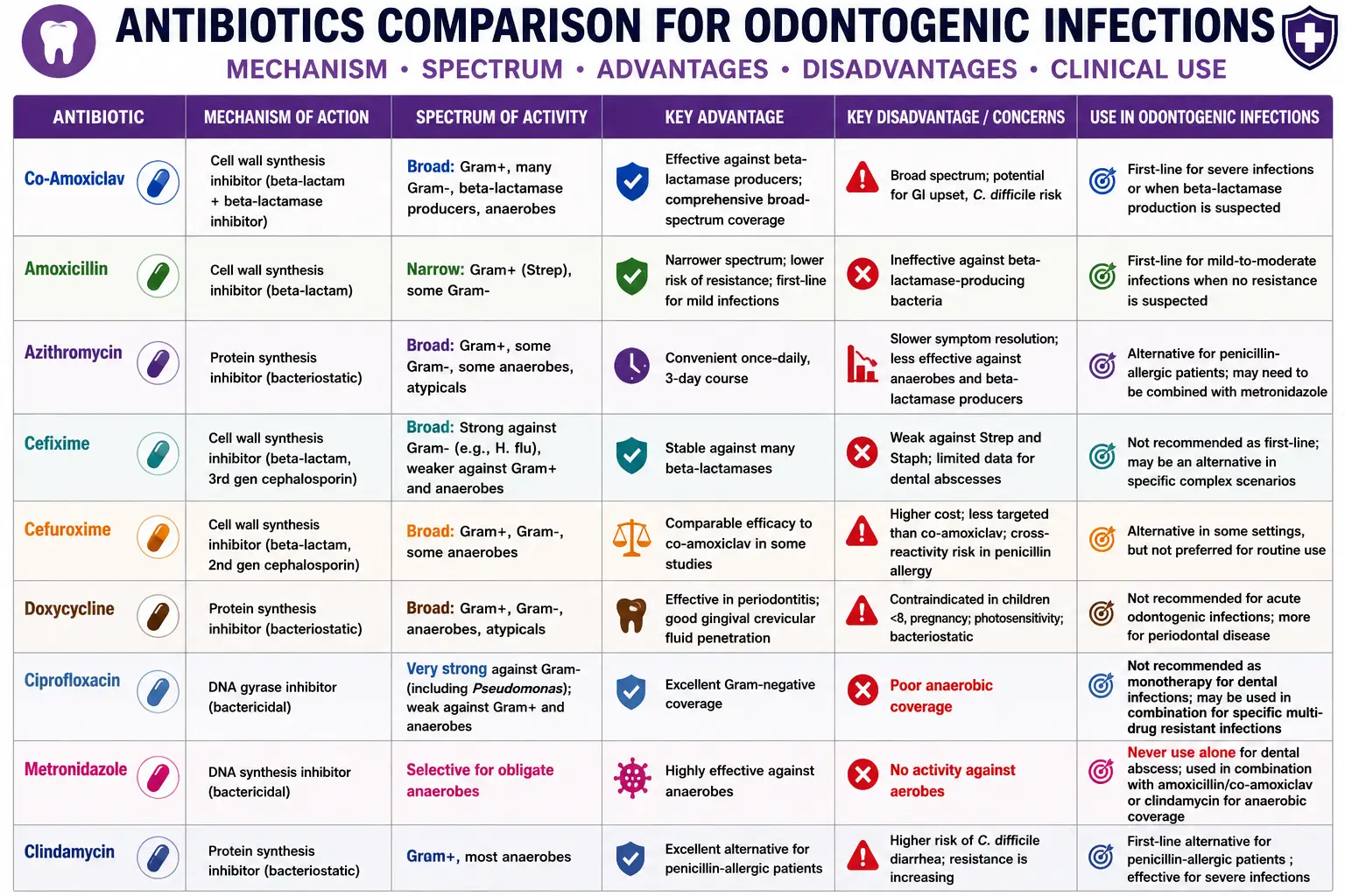 Best Antibiotics for Tooth Infection