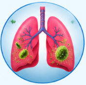What Is Clarithromycin Used to Treat