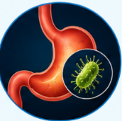 Clarithromycin