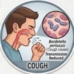 What Is Erythromycin Commonly Used For
