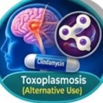 Clindamycin uses