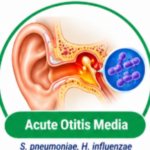 What Is Co-Trimoxazole Used For