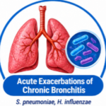 What Is Co-Trimoxazole Used For
