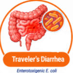 What Is Co-Trimoxazole Used For