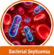 Ceftriaxone sulbactam
