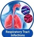 Ampicillin for Bacterial Infection