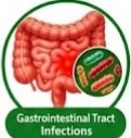 Ampicillin for Bacterial Infection