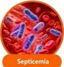 Ampicillin uses