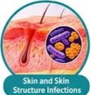 Ampicillin uses