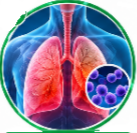 Flucloxacillin (Floxapen) Uses