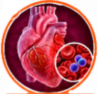 Flucloxacillin (Floxapen) Uses