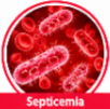 gentamicin