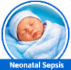 gentamicin