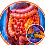 Amikacin Uses and Dosage