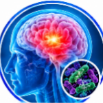 Tobramycin Uses