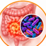 Tobramycin Uses