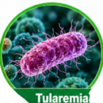 Streptomycin Uses