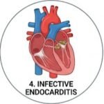 Teicoplanin 12 Life-Saving Facts, Teicoplanin uses and side effects, What is teicoplanin used for, Teicoplanin injection uses, Teicoplanin dosage, Teicoplanin 400 mg uses, Teicoplanin antibiotic, Teicoplanin side effects, What infections does teicoplanin treat, How does teicoplanin work against bacterial infections, Teicoplanin 400 mg dosage for adults, Glycopeptide antibiotic, MRSA treatment, Antibiotic resistance, Clinical pharmacology, Medical students