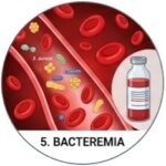 Teicoplanin 12 Life-Saving Facts, Teicoplanin uses and side effects, What is teicoplanin used for, Teicoplanin injection uses, Teicoplanin dosage, Teicoplanin 400 mg uses, Teicoplanin antibiotic, Teicoplanin side effects, What infections does teicoplanin treat, How does teicoplanin work against bacterial infections, Teicoplanin 400 mg dosage for adults, Glycopeptide antibiotic, MRSA treatment, Antibiotic resistance, Clinical pharmacology, Medical students