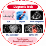 Heart Attack vs Cardiac Arrest, Heart Attack, Cardiac Arrest, Heart Attack Symptoms, Cardiac Arrest Symptoms, Heart Attack Warning Signs, Cardiac Arrest Causes, Heart Attack Differences, Cardiac Emergency, Heart Attack First Aid, Cardiac Arrest CPR, CPR, AED, Heart Attack Diagnosis, Cardiac Arrest Diagnosis, Cardiovascular Health
