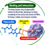 Zosyn vs Tazocin, piperacillin tazobactam, Zosyn, Tazocin, Zosyn antibiotic uses, Tazocin antibiotic uses, piperacillin tazobactam mechanism of action, piperacillin tazobactam side effects adults, piperacillin tazobactam dosage IV, Zosyn generic name, piperacillin tazobactam spectrum of activity, piperacillin tazobactam renal dose adjustment, Zosyn drug interactions, piperacillin tazobactam infusion rate, piperacillin tazobactam brand names, what is piperacillin and tazobactam injection used for