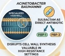 Dosage Secret Behind Cefoperazone + Sulbactam's, cefoperazone sulbactam injection, cefoperazone sulbactam uses, cefoperazone sulbactam dosage, cefoperazone sulbactam side effects, cefoperazone sulbactam 1g, cefoperazone sulbactam 2g, cefoperazone sulbactam injection uses, cefoperazone sulbactam antibiotic, cefoperazone and sulbactam injection,