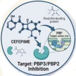 Cefepime Mortality Risk, cefepime mortality meta-analysis, cefepime vs piperacillin-tazobactam mortality, cefepime FDA mortality warning, cefepime neurotoxicity mortality, cefepime death rate clinical trials, cefepime all-cause mortality, cefepime safety profile critically ill, cefepime Bayesian meta-analysis, cefepime risk factors for death, cefepime mortality in febrile neutropenia,