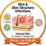 Miracle Drug or Risky Business Ceftazidime, Miracle Drug, Risky Business, Antibiotic Resistance, Superbug Killer, Ceftazidime Avibactam, Pseudomonas Aeruginosa, Cystic Fibrosis Treatment
