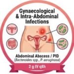 Miracle Drug or Risky Business Ceftazidime, Miracle Drug, Risky Business, Antibiotic Resistance, Superbug Killer, Ceftazidime Avibactam, Pseudomonas Aeruginosa, Cystic Fibrosis Treatment