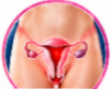 cefazolin, cefazolin exposed, cefazolin injection, cefazolin uses, cefazolin dosage, cefazolin side effects, cefazolin for surgery, cefazolin surgical prophylaxis, cefazolin antibiotic,