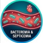 The Truth About Cefotaxime, cefotaxime, cefotaxime side effects, cefotaxime uses, cefotaxime injection, cefotaxime antibiotics, cefotaxime experience,