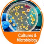 Diagnose Pneumonia, silent pneumonia, walking pneumonia, pneumonia symptoms, chest x-ray pneumonia, pneumonia diagnose test, pneumonia treatment, pneumonia recovery, pneumonia in elderly, pneumonia in kids, atypical pneumonia, viral pneumonia, bacterial pneumonia, pneumonia warning signs, early pneumonia detection, pneumonia misdiagnosis, pneumonia diagnose at home, pneumonia antibiotics