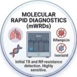 tuberculosis diagnosis, TB or not TB, TB diagnostic tests, pulmonary TB diagnosis, latent TB diagnosis, active TB diagnosis, TB blood test, TB sputum test, TB chest X-ray, TB symptoms, how is TB diagnosed, TB test results, tuberculosis test, TB diagnosis steps, fast TB diagnosis